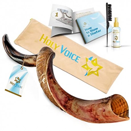 Kosher Kudu Shofar