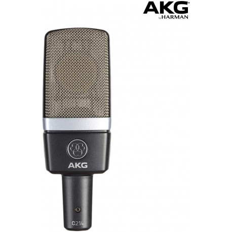 AKG Professional Large-Diaphragm Condenser Microphone, Grey