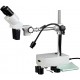 AmScope 10X and 20X Magnification