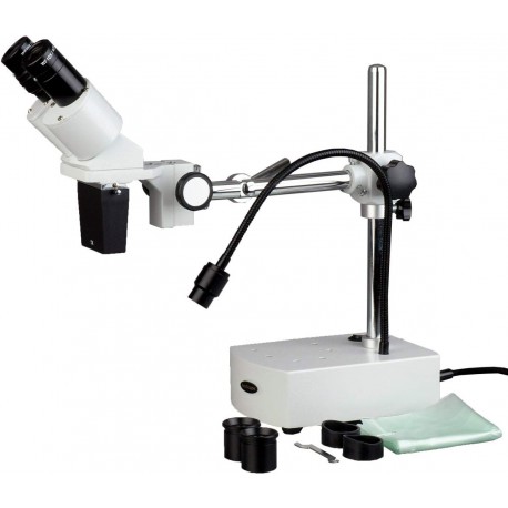 AmScope 10X and 20X Magnification