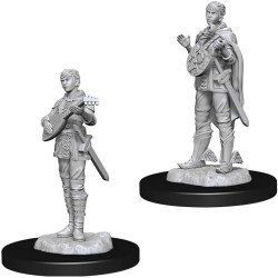Miniatures - Female Half-Elf Bard.