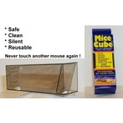 Mice Cube 4 Pk