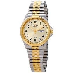 Men's Quartz Watch with Day/Date