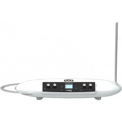 Theremini Theremin