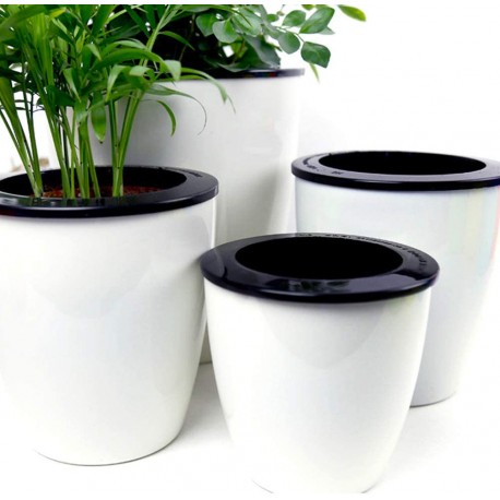 3 Pack Self Watering Planter African