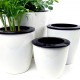 Tiny Flower Plant Containers (Style 2)