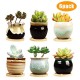 2.5 Inch Ceramic Succulent Planter Pot x6