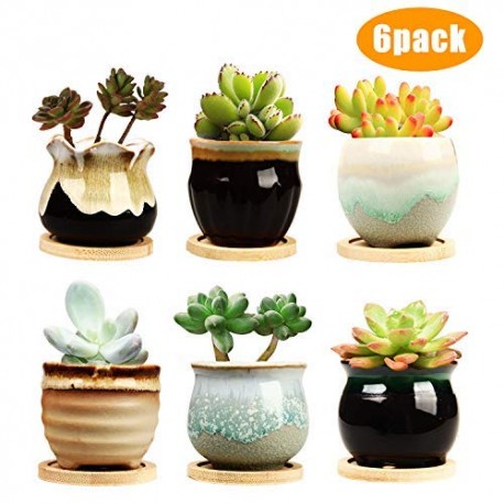 2.5 Inch Ceramic Succulent Planter Pot x6