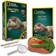 NATIONAL GEOGRAPHIC Dino Fossil Dig Kit