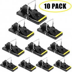 Safe for Families and Pet 10 Pack Mouse Trap
