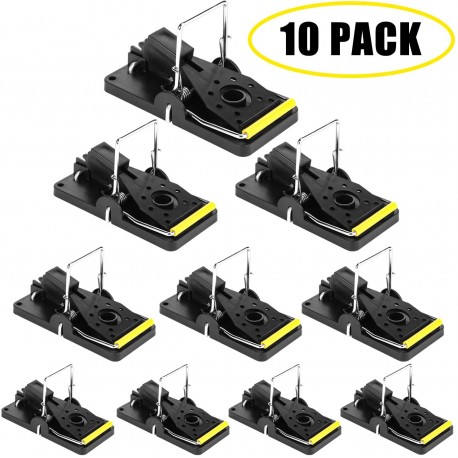 Safe for Families and Pet 10 Pack Mouse Trap