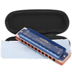 Harmonica Blues Key of C 10 Hole