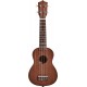 Ukulele Bundle with Strings
