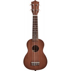 Ukulele Bundle with Strings