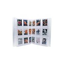 Name Card & 3 Inch Pictures (288 Pockets, Clear)
