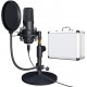 USB Microphone Kit 192KHZ with Aluminum Organizer Storage