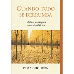 Cuando todo se derrumba