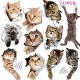 11PCS New 3D Removable Cartoon Animal Cats