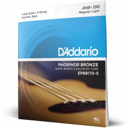 D'Addario EPBB170-5 Phosphor Bronze 5-String Acoustic Bass Strings, Long Scale, 45-130