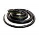 Snake 52 Inch Long Scare Toy