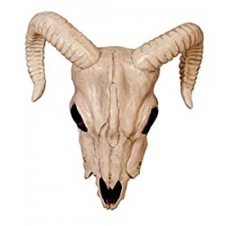 Crazy Bonez - Ram Skull