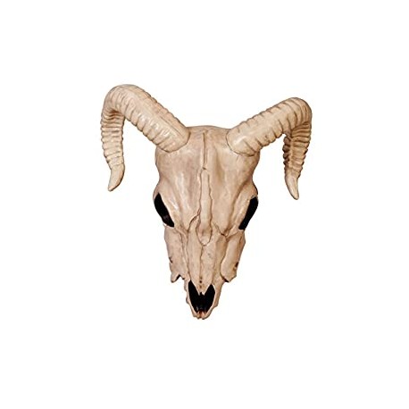 Crazy Bonez - Ram Skull