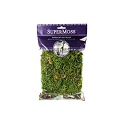 Forest Moss Preserved, Fresh Green, 2oz
