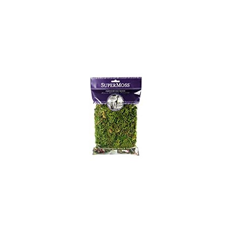 Forest Moss Preserved, Fresh Green, 2oz