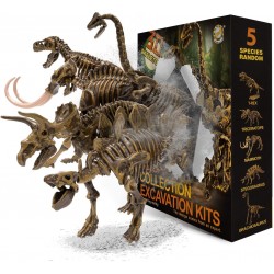 Dinosaur Toys Excavation Kits Excavate Five Different