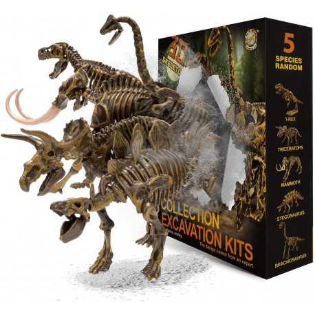 Dinosaur Toys Excavation Kits Excavate Five Different