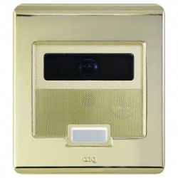 ON-Q Selective Call Intercom - Outdoor Station Selective Call Video Door Unit Shiny Brass (IC5003-SB)