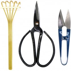 Bonsai Tree Pruning Trimming Starter Tool