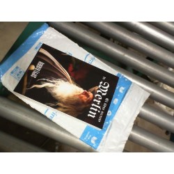 EL LIBRO SECRETO DE MERLIN: Manual para convertirte en mago