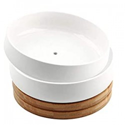6 Inch Modern White Ceramic Round Succulent Cactus Planter Pot