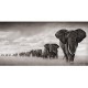 Elephant Canvas Prints Wall Art Abstract Poster 16x32inches