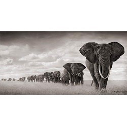 Elephant Canvas Prints Wall Art Abstract Poster 16x32inches