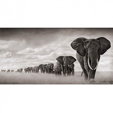 Elephant Canvas Prints Wall Art Abstract Poster 16x32inches