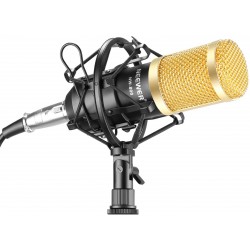 NW-800 Professional Studio Broadcasting & Recording Microphone Set Including