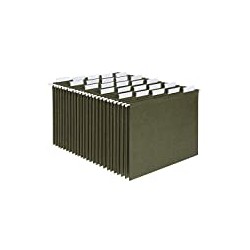Hanging File Folders, Letter Size, Standard Green, 1/5-Cut Adjustable Tabs, 25 Per Box