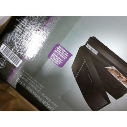 Epson V370
