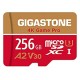Gigastone 256GB Micro SD Card