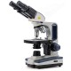Siedentopf Binocular Head, Research-Grade Compound Lab Microscope with Wide-Field 10X and 25X Eyepieces