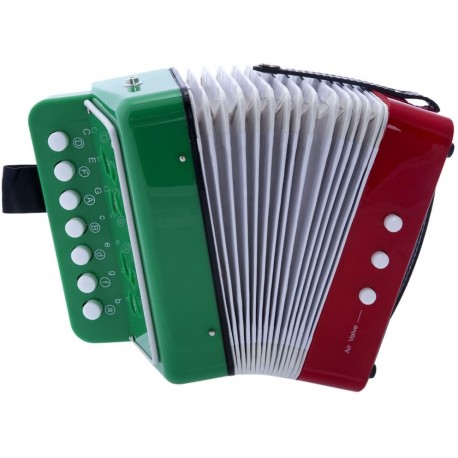 Child Button Accordion Mexican Flag