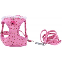 Soft Mesh Fabric Small Dog Vest Harness Girl Harness Leash Set