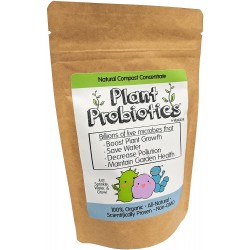Plant Probiotics