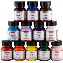 Paint Set of 12 1 oz