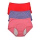 Fiber Brief Menstrual Leakproof Panties Multi Pack