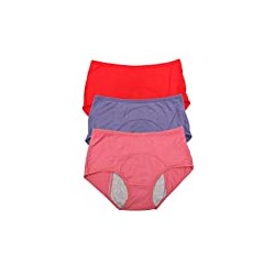 Fiber Brief Menstrual Leakproof Panties Multi Pack