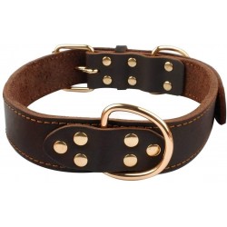 Leather Collar Dog