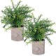 2pcs Artificial Potted Plants Mini Fake